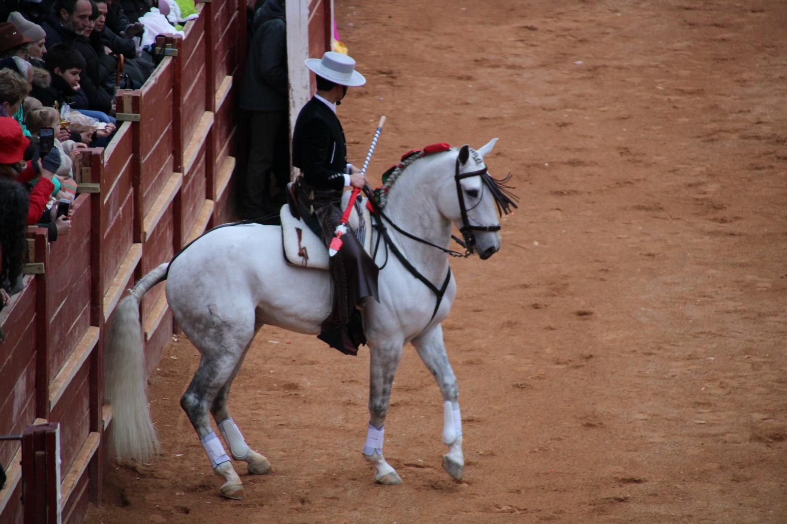 whatsapp-image-2025-03-02-at-18-55-48