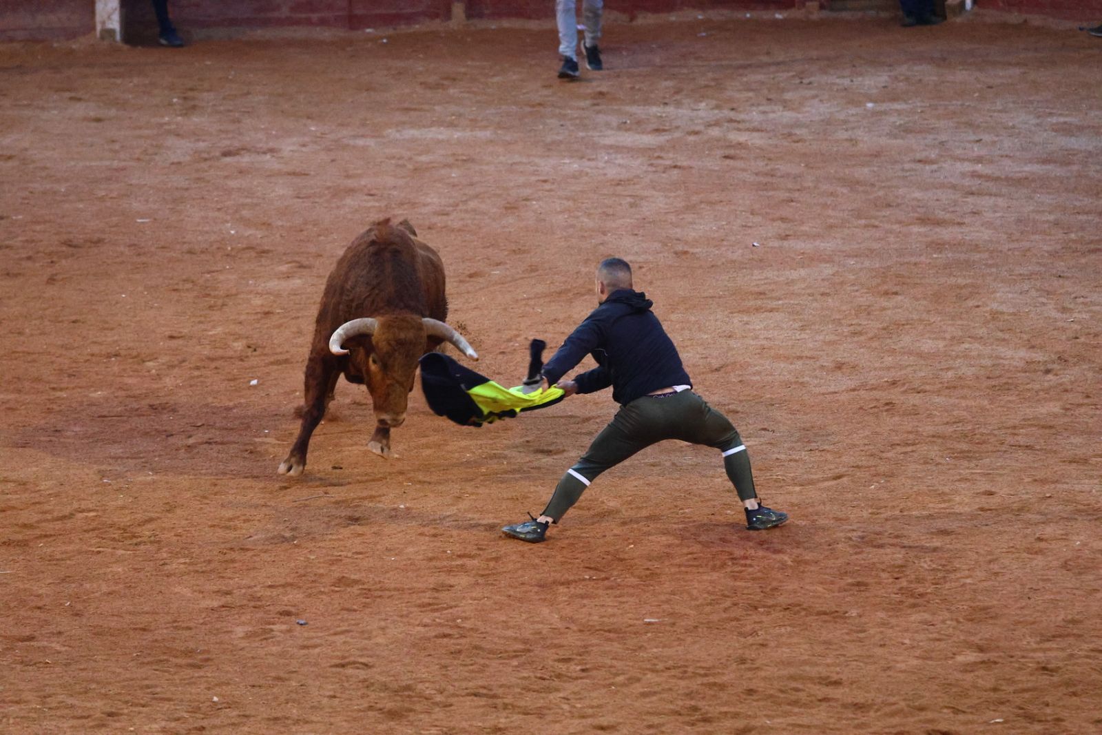 Capea de martes por la tarde en el Carnaval del Toro 2026