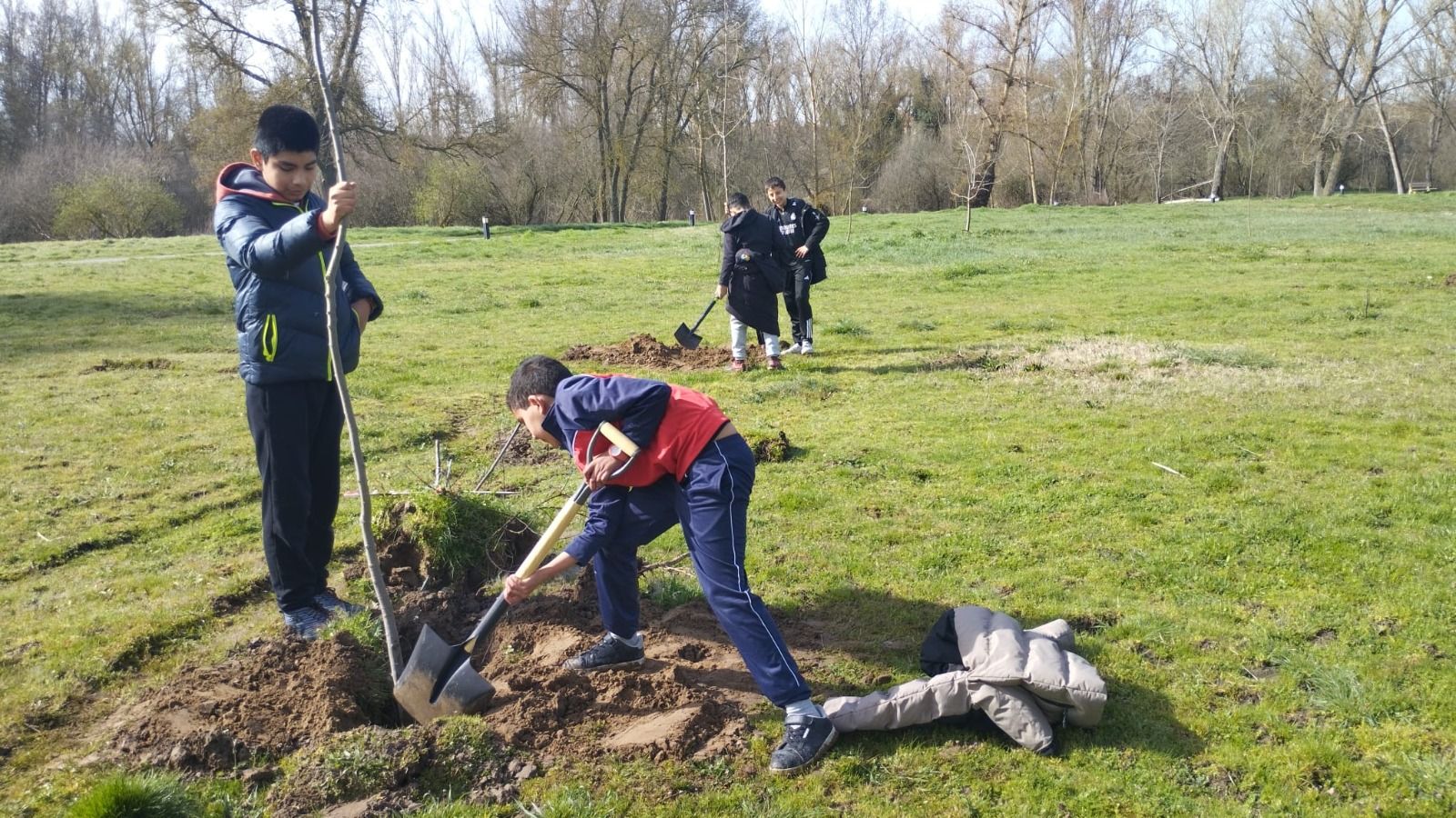 Reforestación isla del Soto en Santa Marta  (2)