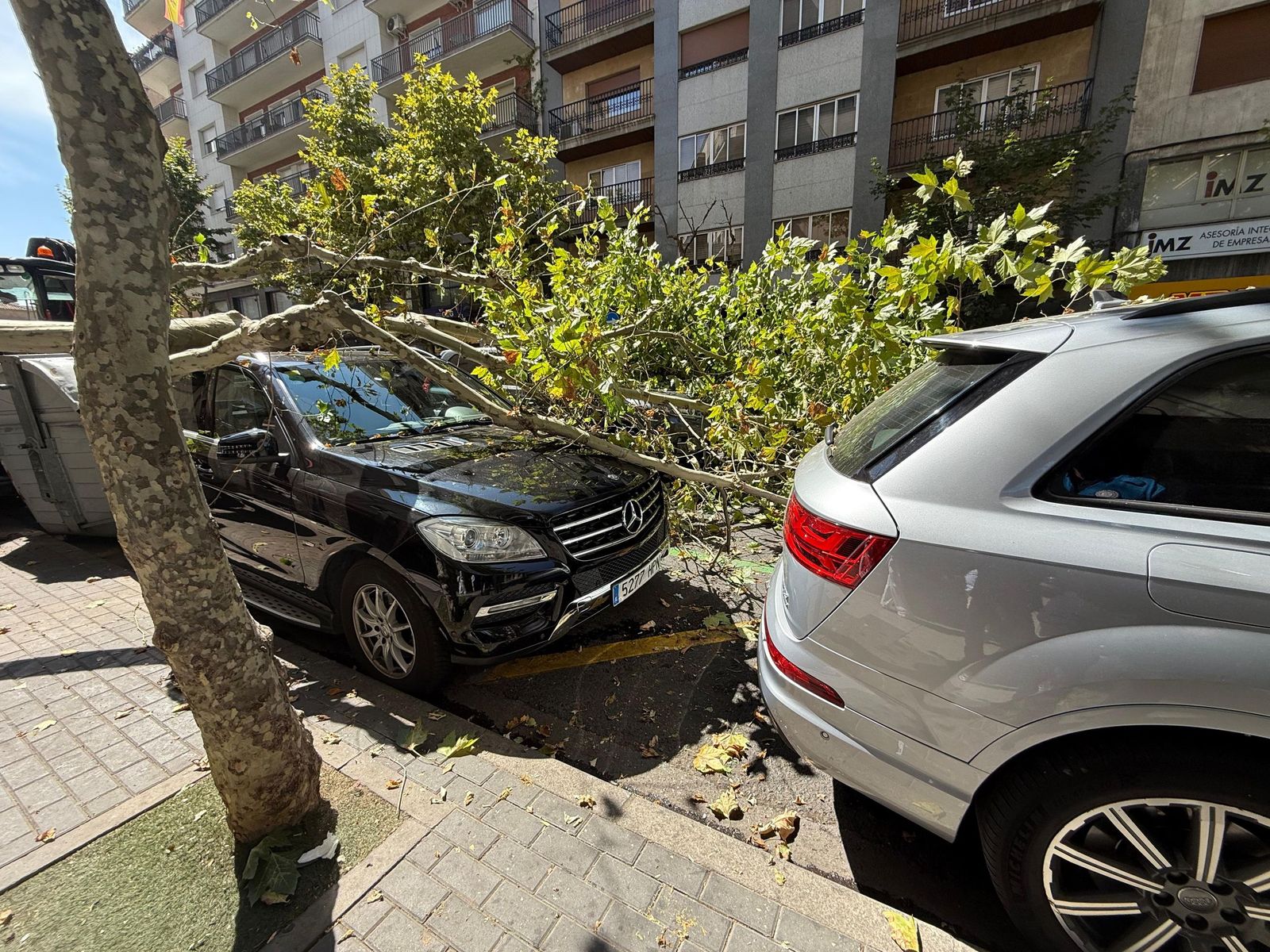 Un árbol cae sobre varios coches en Torres Villarroel