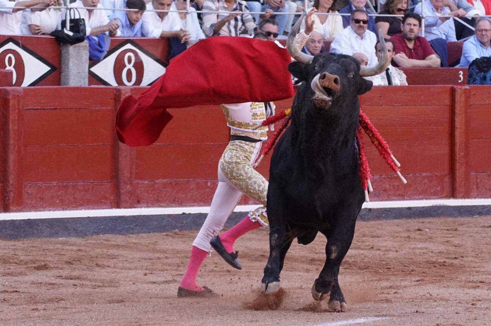 Presencia salmantina por partida doble en la primera corrida de la feria: Damián Castaño e Ismael Martín junto al mexicano Diego San Román