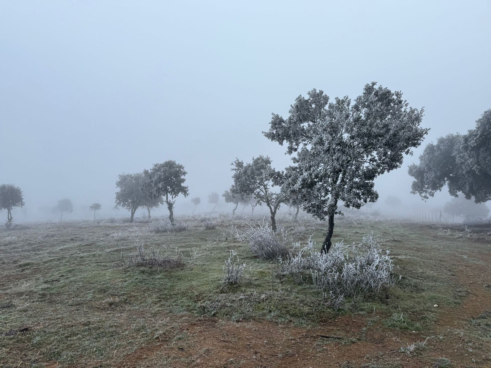 whatsapp-image-2025-01-01-at-08-54-39