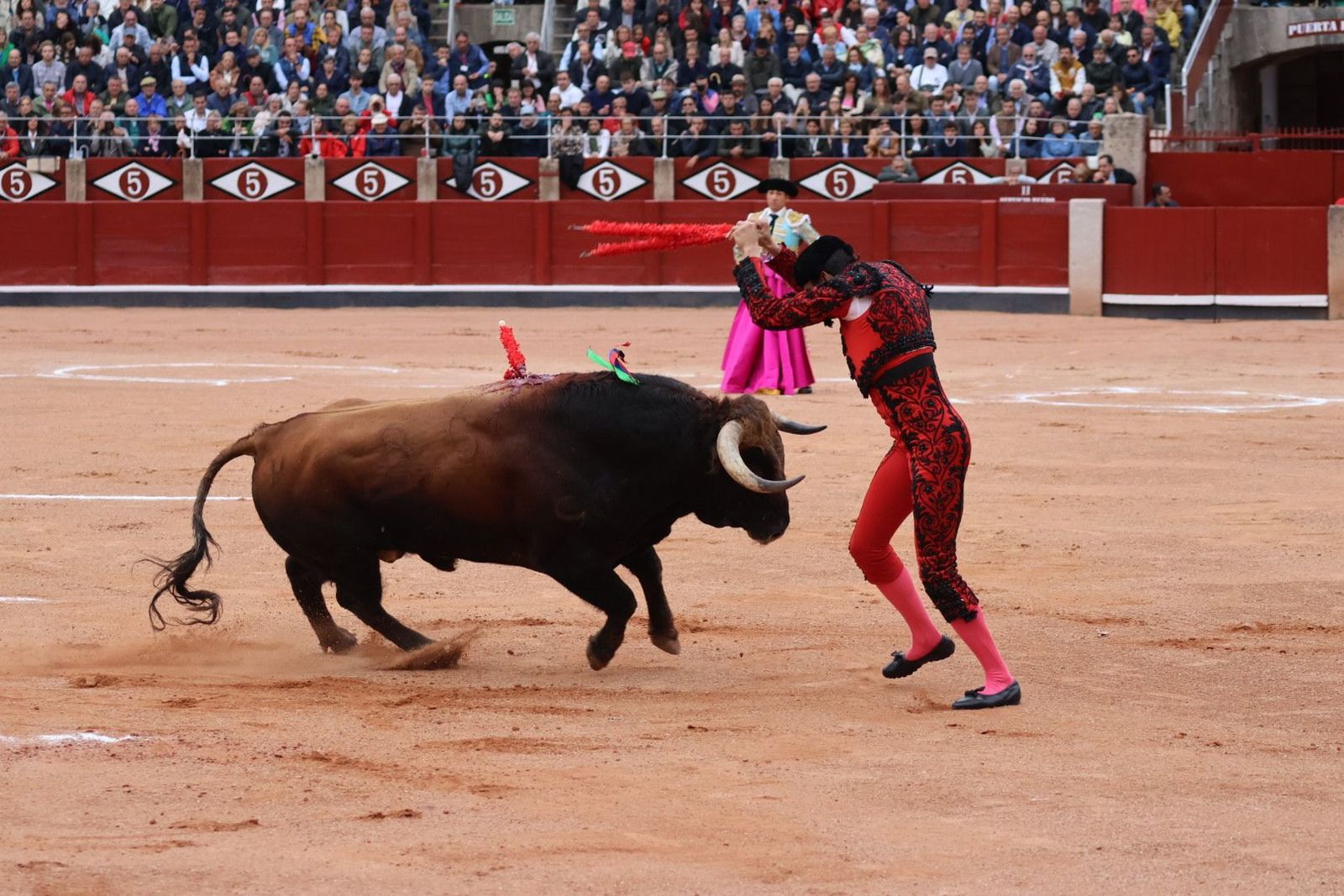 20230921182917-img-8123