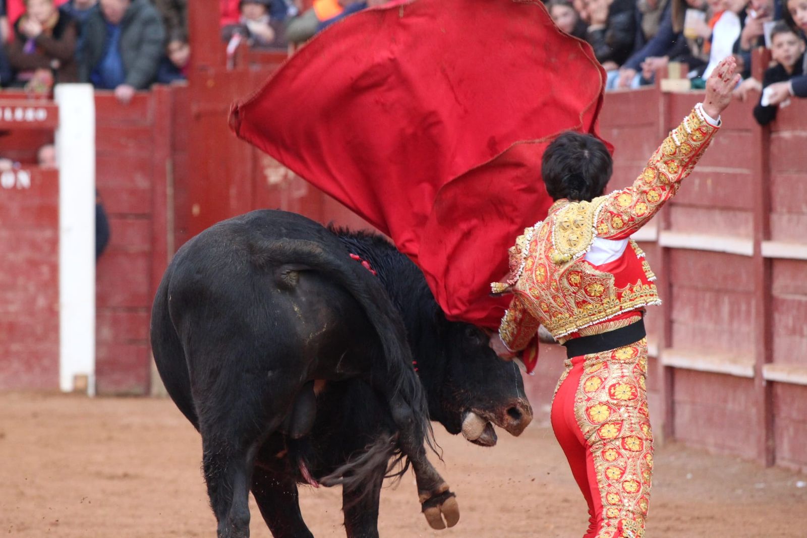 novillada-con-picadores-lunes-de-carnaval-en-ciudad-rodrigo-3