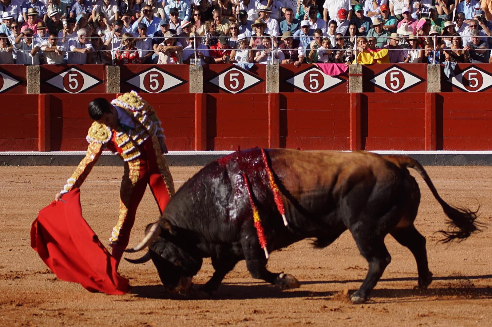 Emilio de Justo, Juan Ortega y Roca Rey inauguran el cartel de figuras en la feria de Salamanca: la corrida de Garcigrande en imágenes