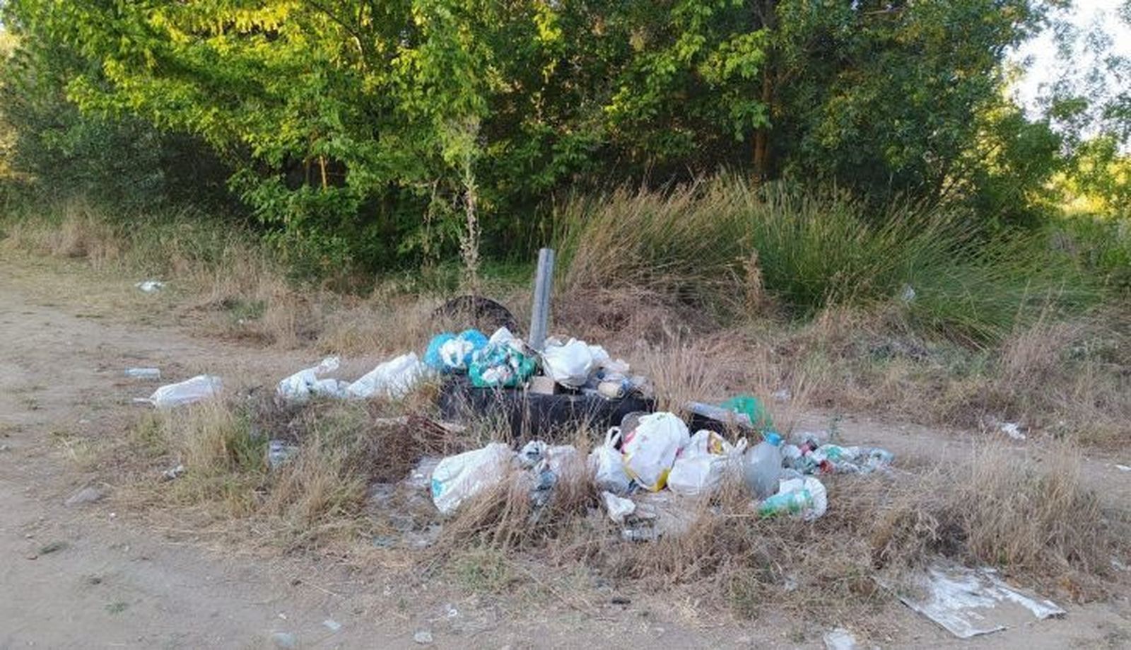 Bolsas de basura en La Ponderosa