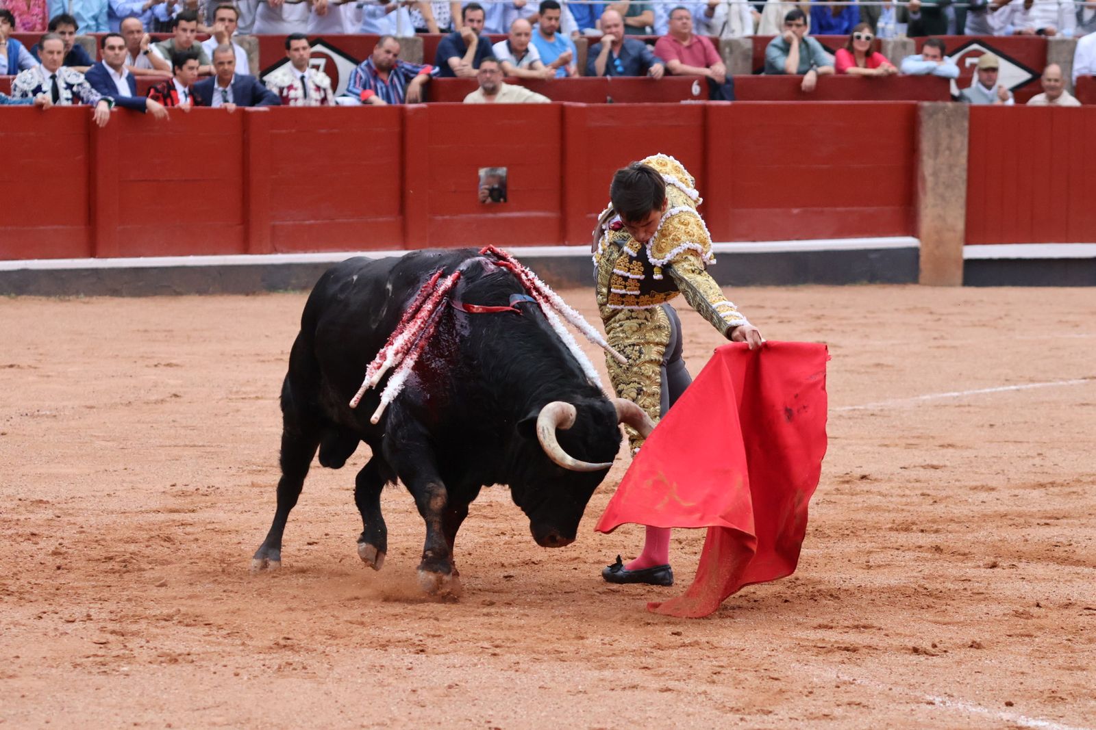 Ismael Martín, Marco Pérez y el aclamado regreso de Morante de la Puebla: su paso por La Glorieta en imágenes