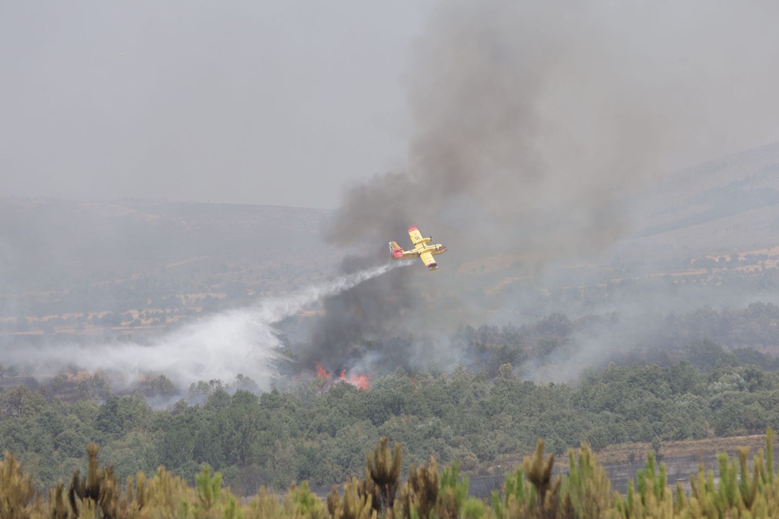 Incendio de Puercas. La situación entre Abejera y Riofrío