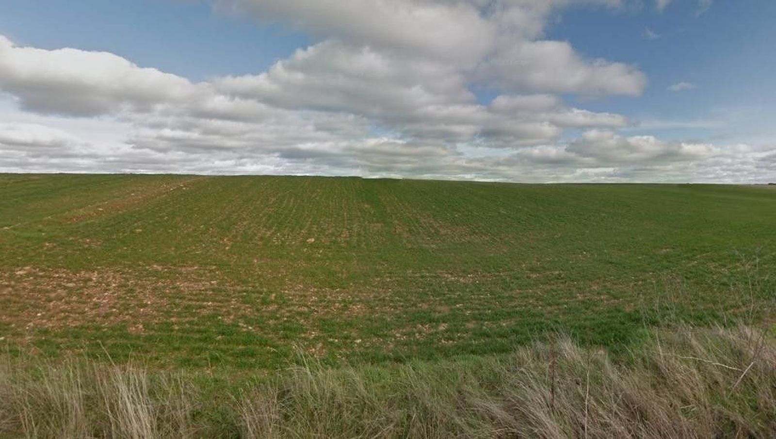 A subasta el alquiler de la Dehesa Boyal