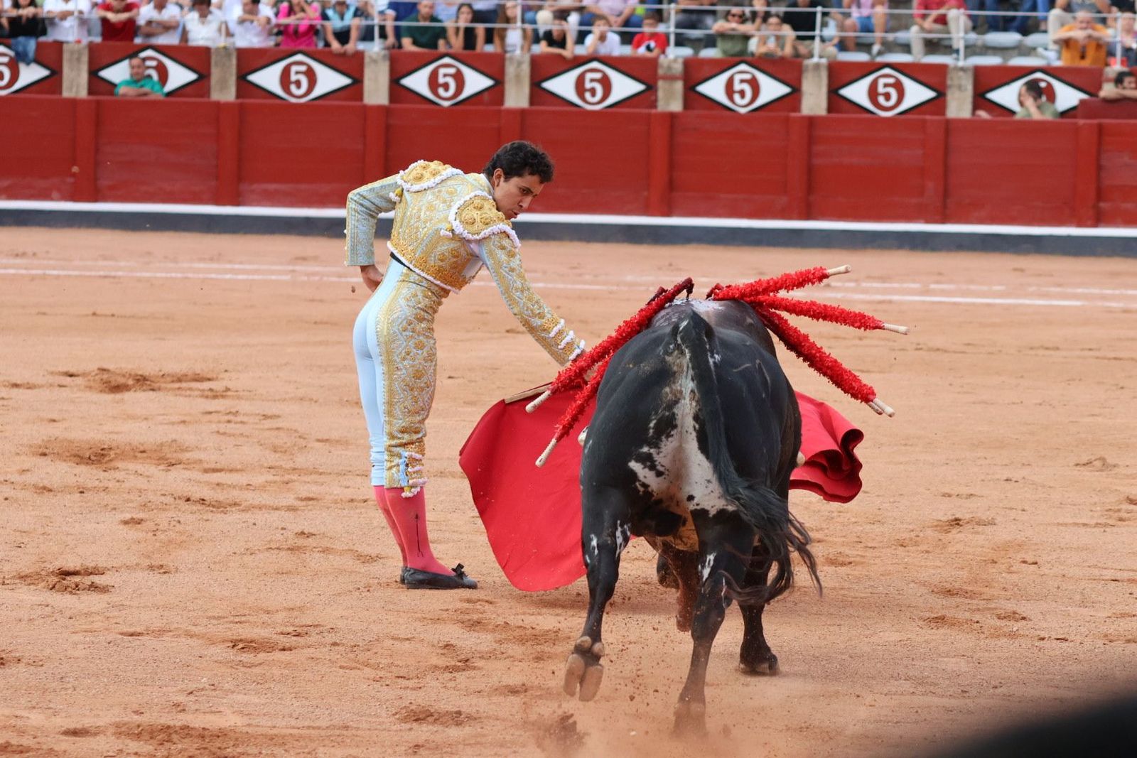 20230910185805-img-2192