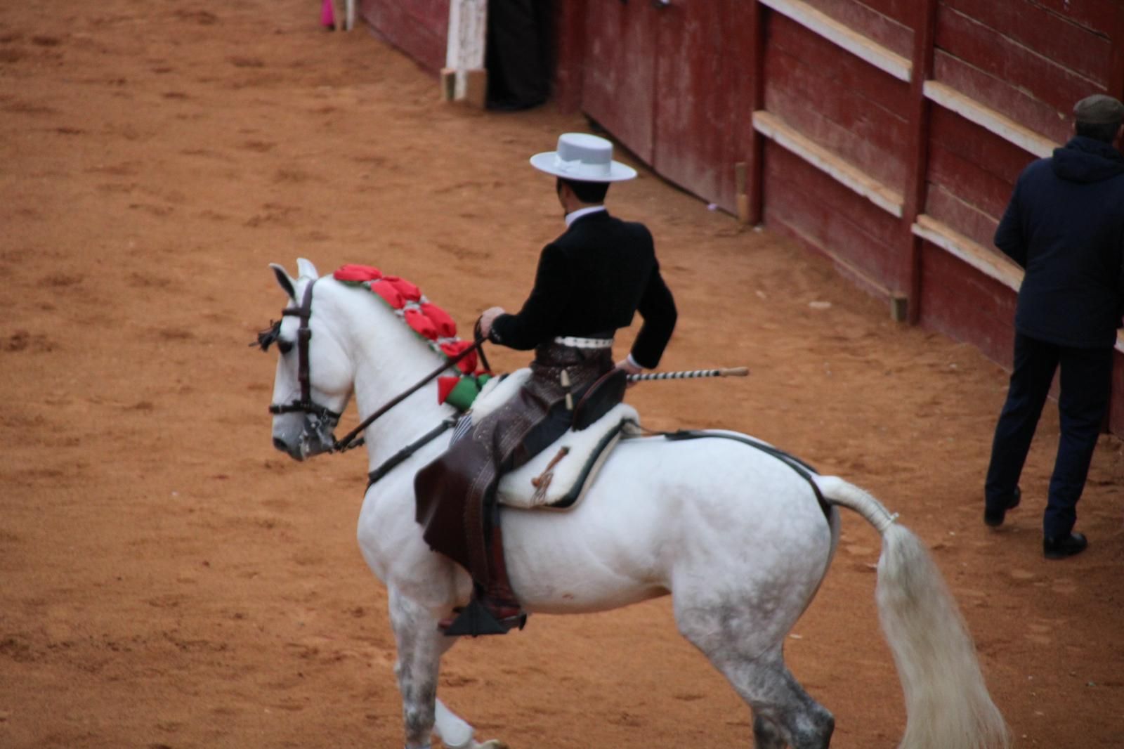 whatsapp-image-2025-03-02-at-18-55-54