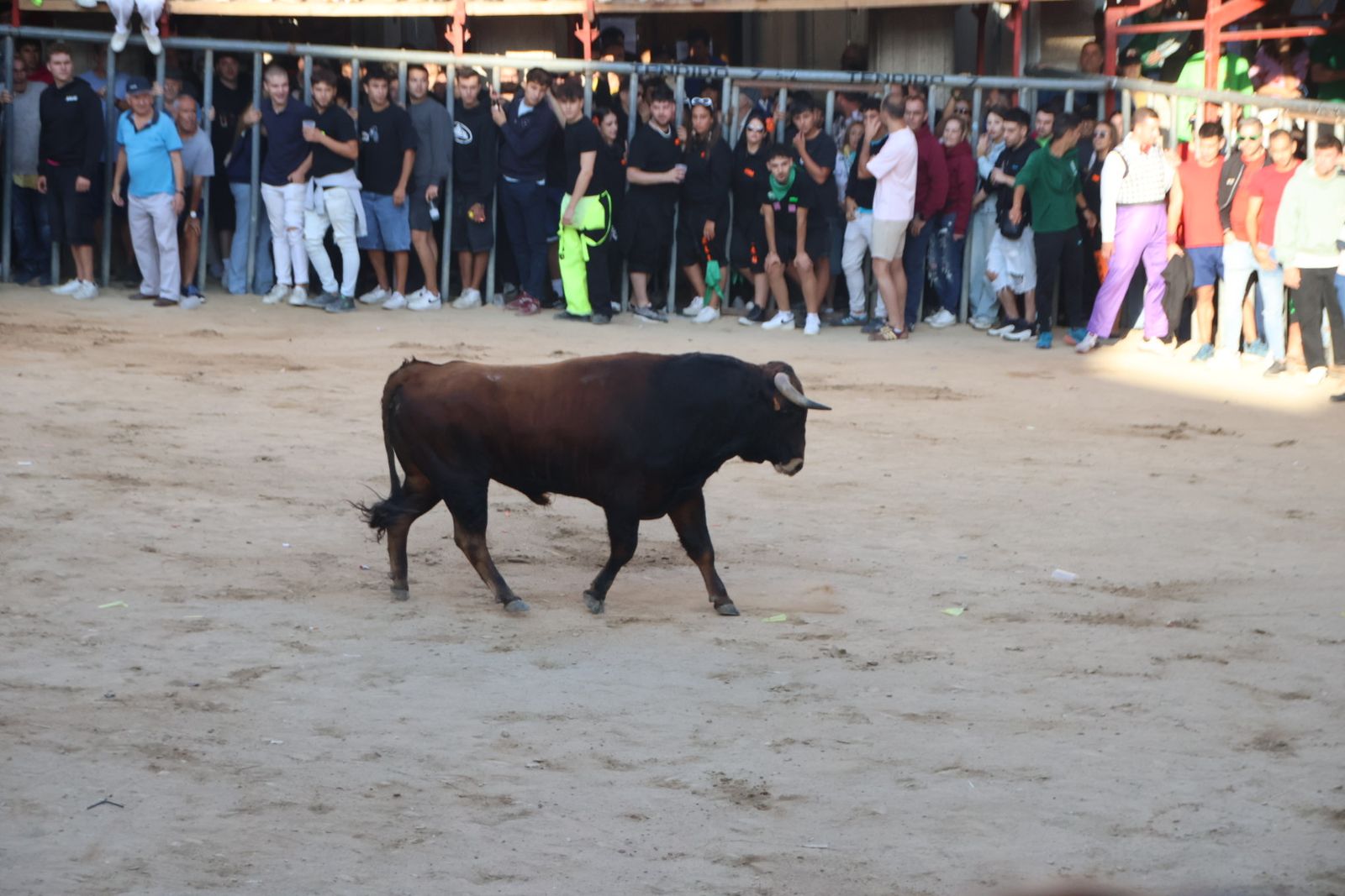 Encierro en Aldeadávila