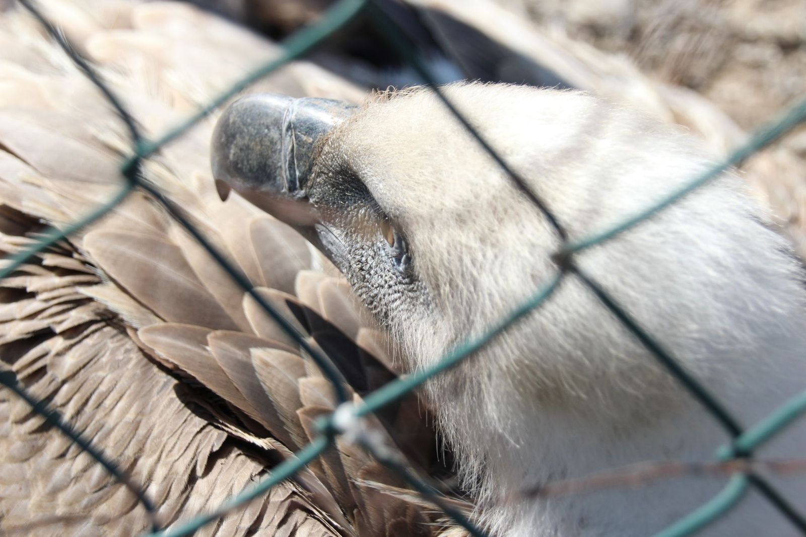 20230304152210-img-1679