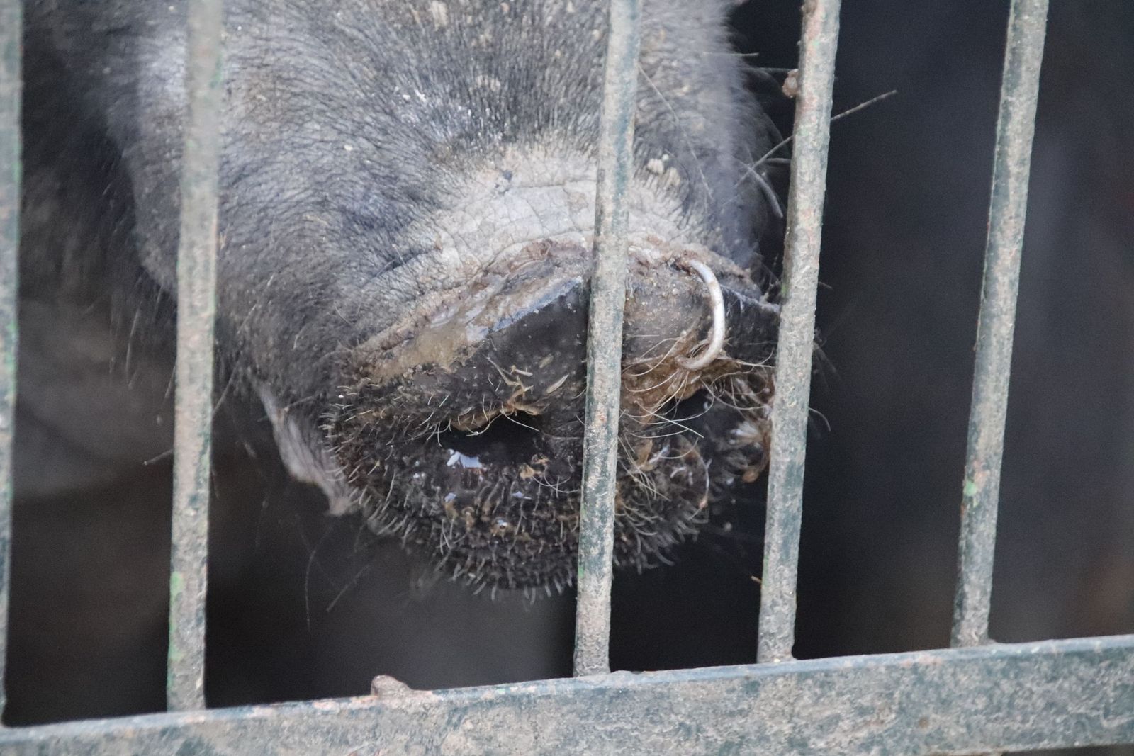 20230204124149-mg-4843