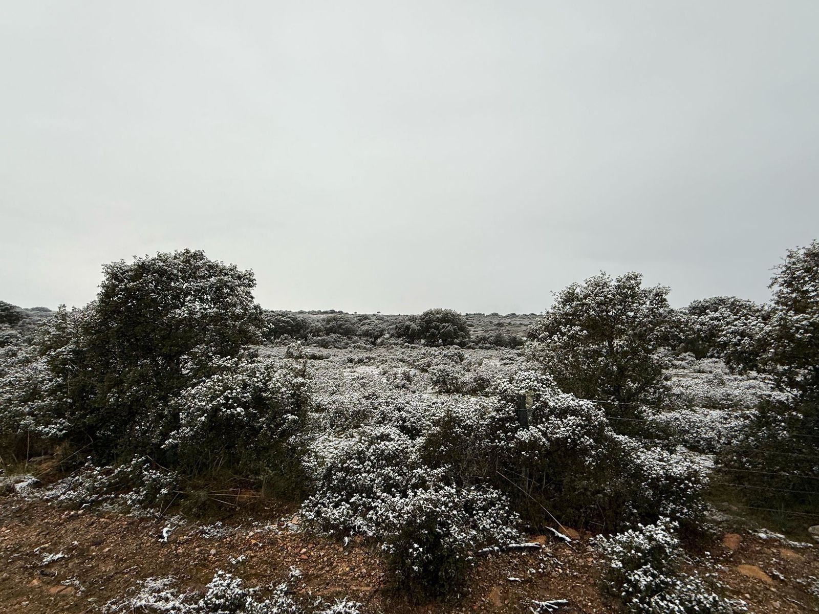 nieve-en-monterrubio-y-cuatro-calzadas-9
