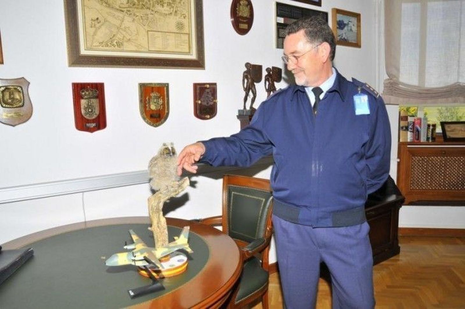 El Centro de Recepción de Animales de la Junta acoge a dos pollos de búho chico El Centro de Recepción de Animales de la Junta acoge a dos pollos de búho chico