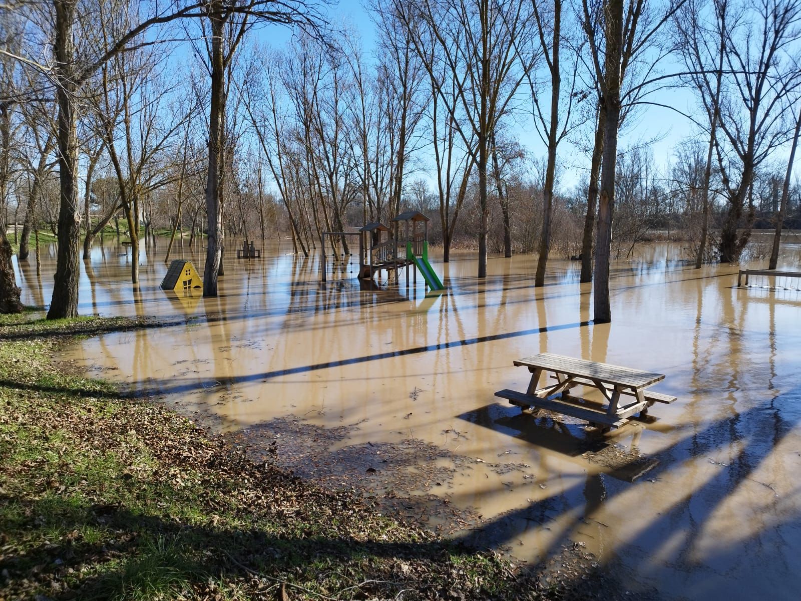 whatsapp-image-2024-01-20-at-13-23-13-3