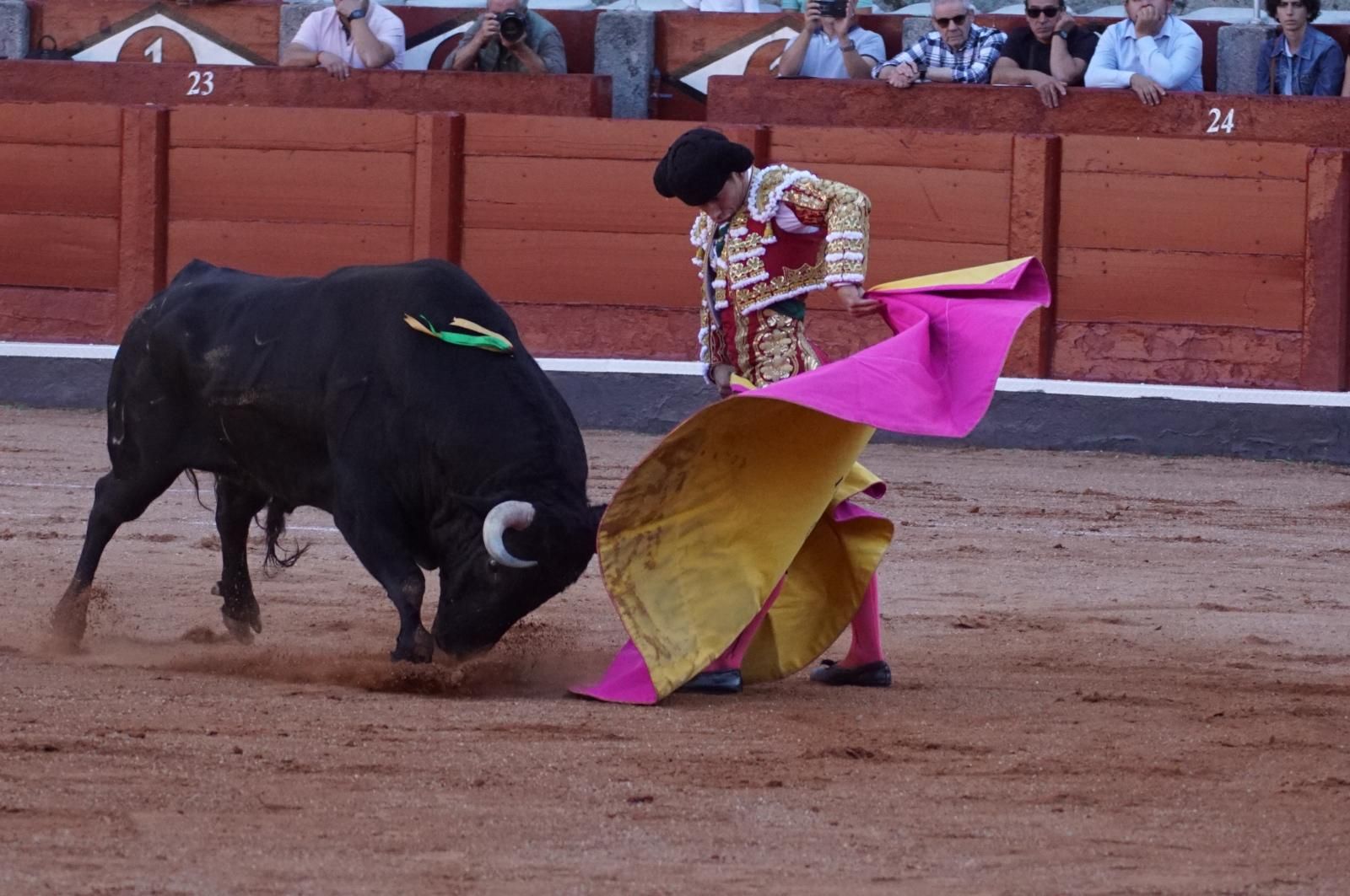 Presencia salmantina por partida doble en la primera corrida de la feria: Damián Castaño e Ismael Martín junto al mexicano Diego San Román