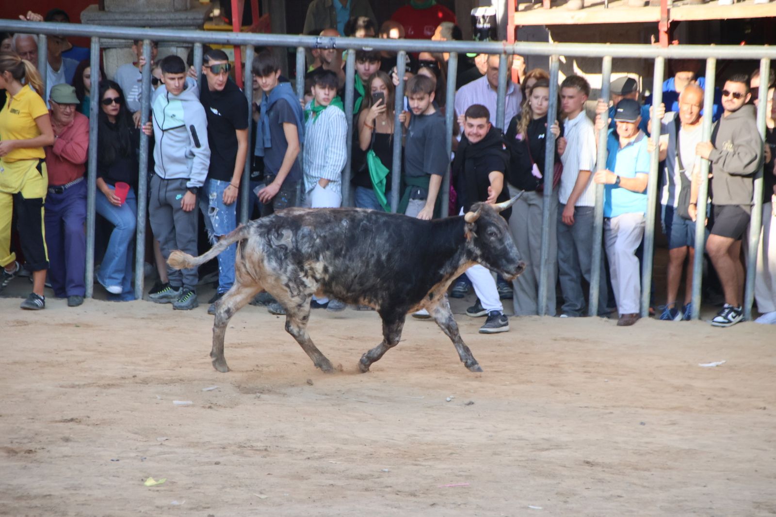 Encierro en Aldeadávila