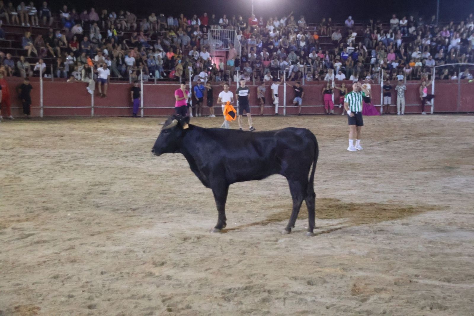 20240815215645-img-3784