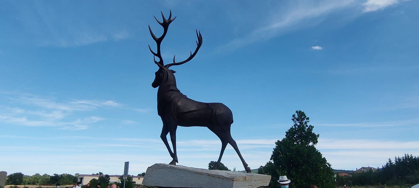 WhatsApp Image 2020 07 14 at 21.42.44