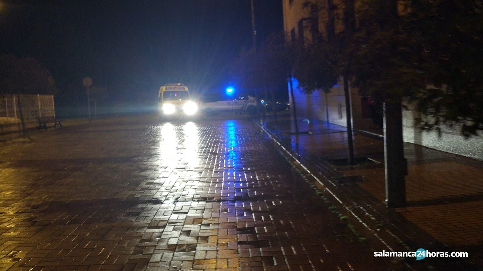 Atropello Moreruela 2