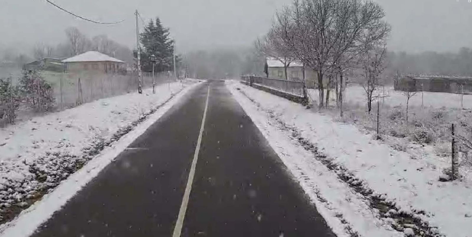 Carbajalinos este sábado