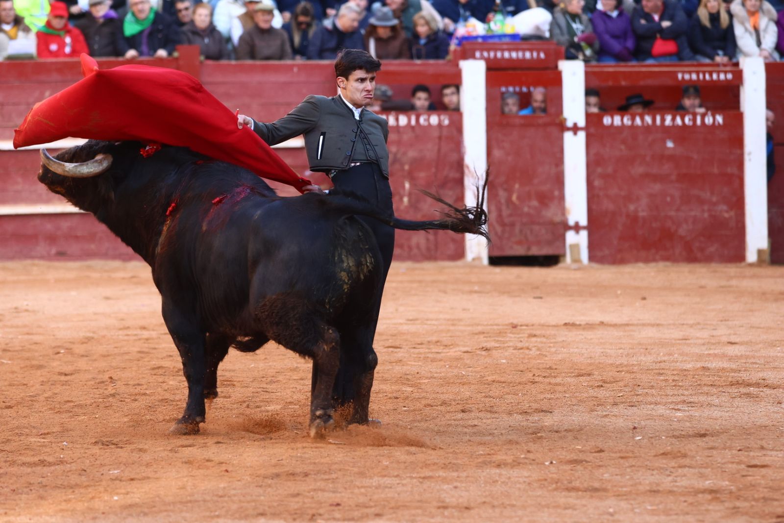 Festival del martes en el Carnaval del Toro 2026