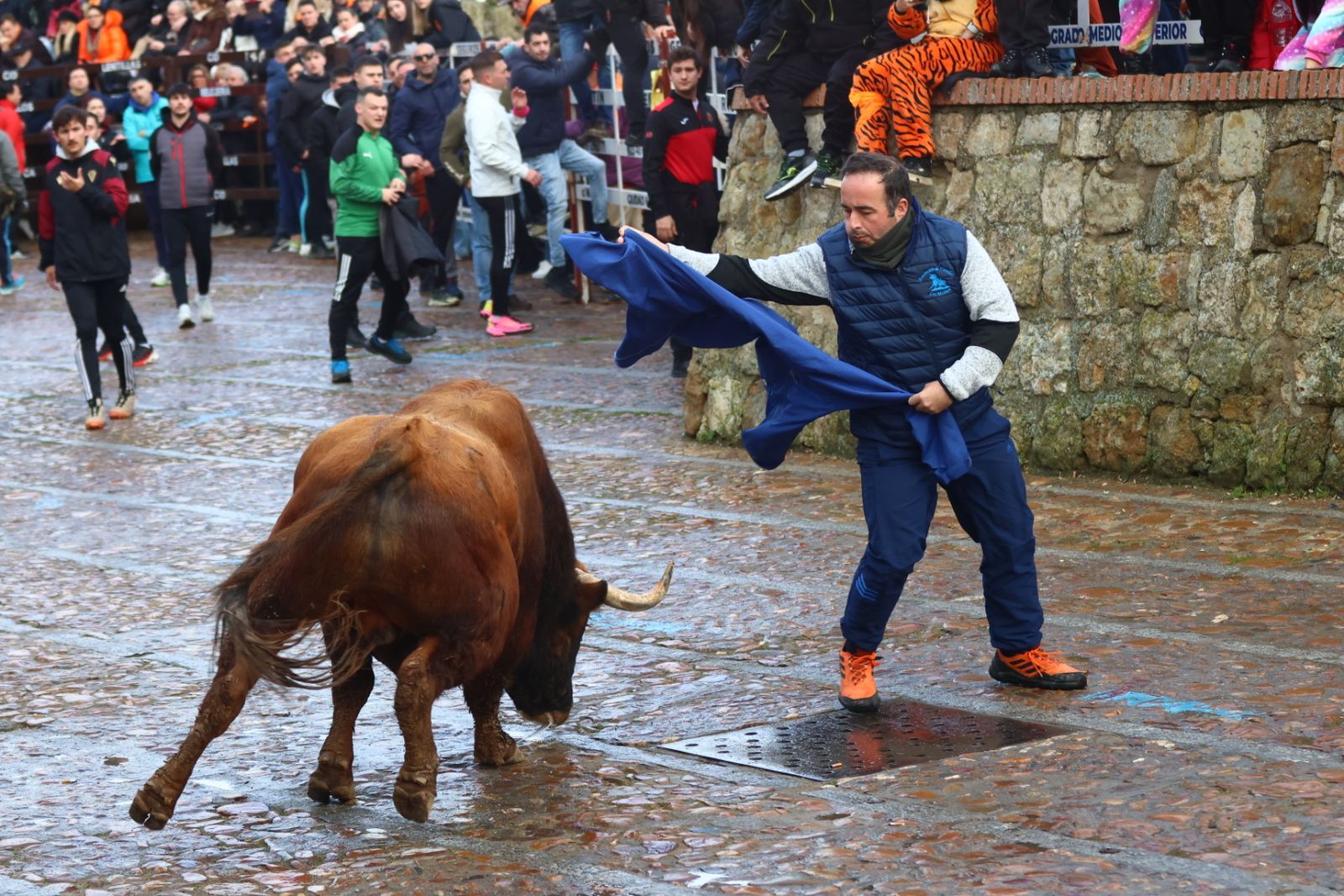 Toro del aguardiente en la mañana de martes del Carnaval del Toro 2026