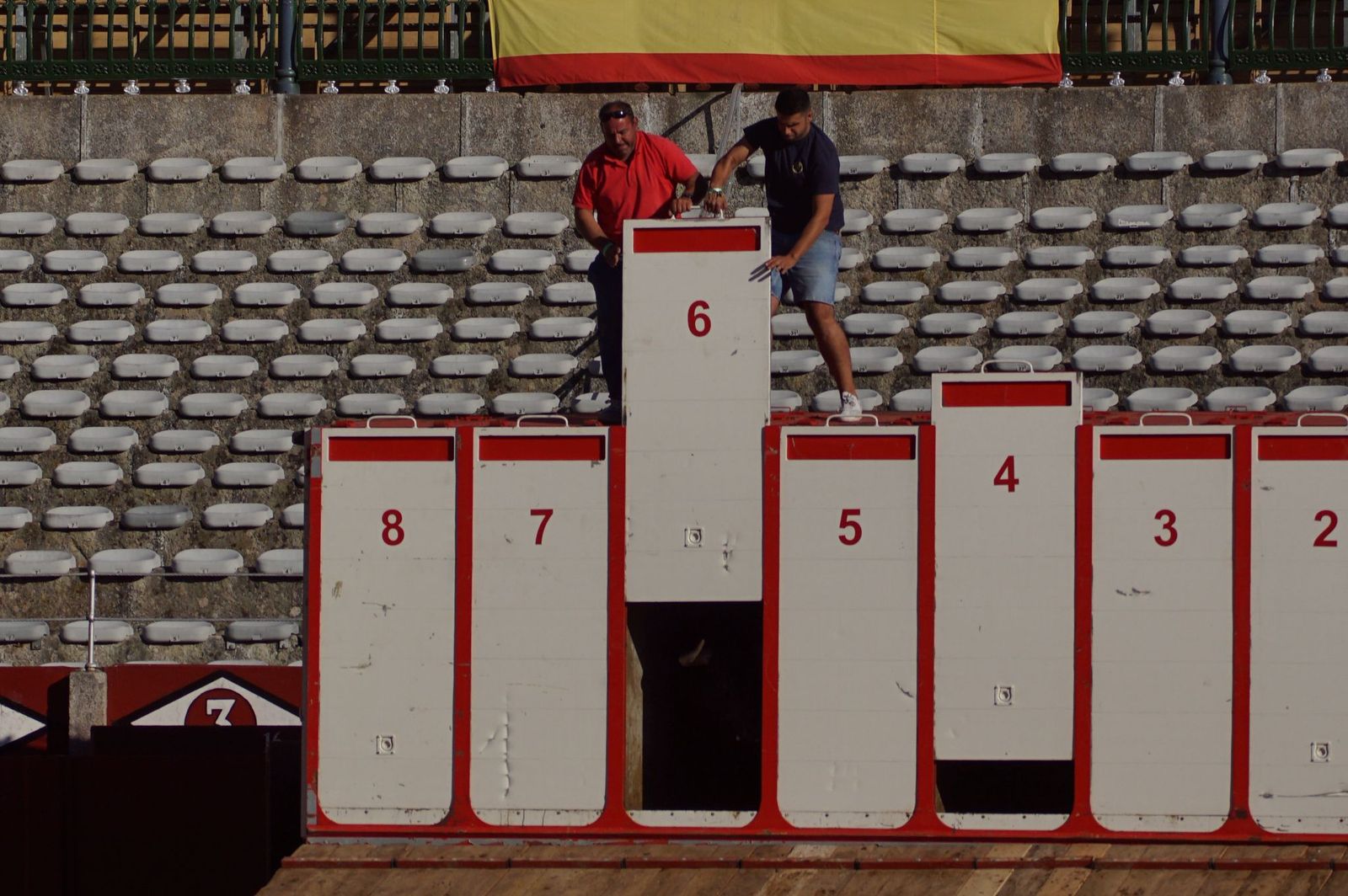 Tradicional Desenjaule en la Plaza de Toros La Glorieta