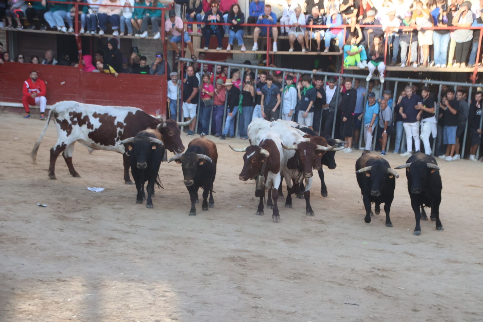 Encierro en Aldeadávila
