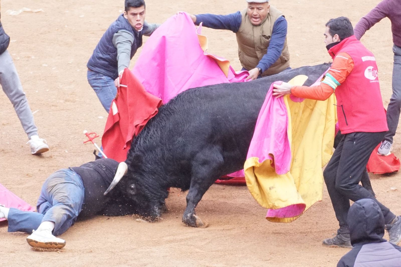 Capea matinal de domingo de carnaval en Ciudad Rodrigo (42).jpeg