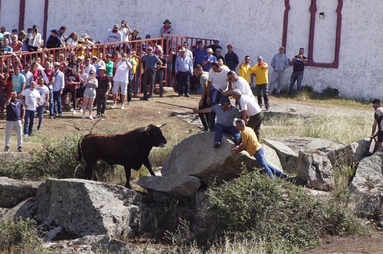 Espantos de Ledesma, domingo, 11 de junio de 2023. Foto Juanes