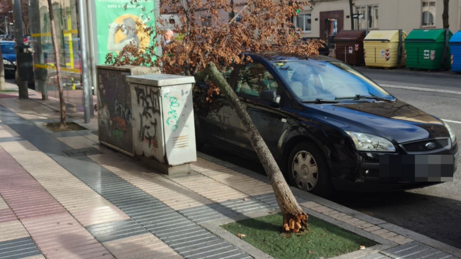 Árbol sobre un coche en el paseo de la Estación