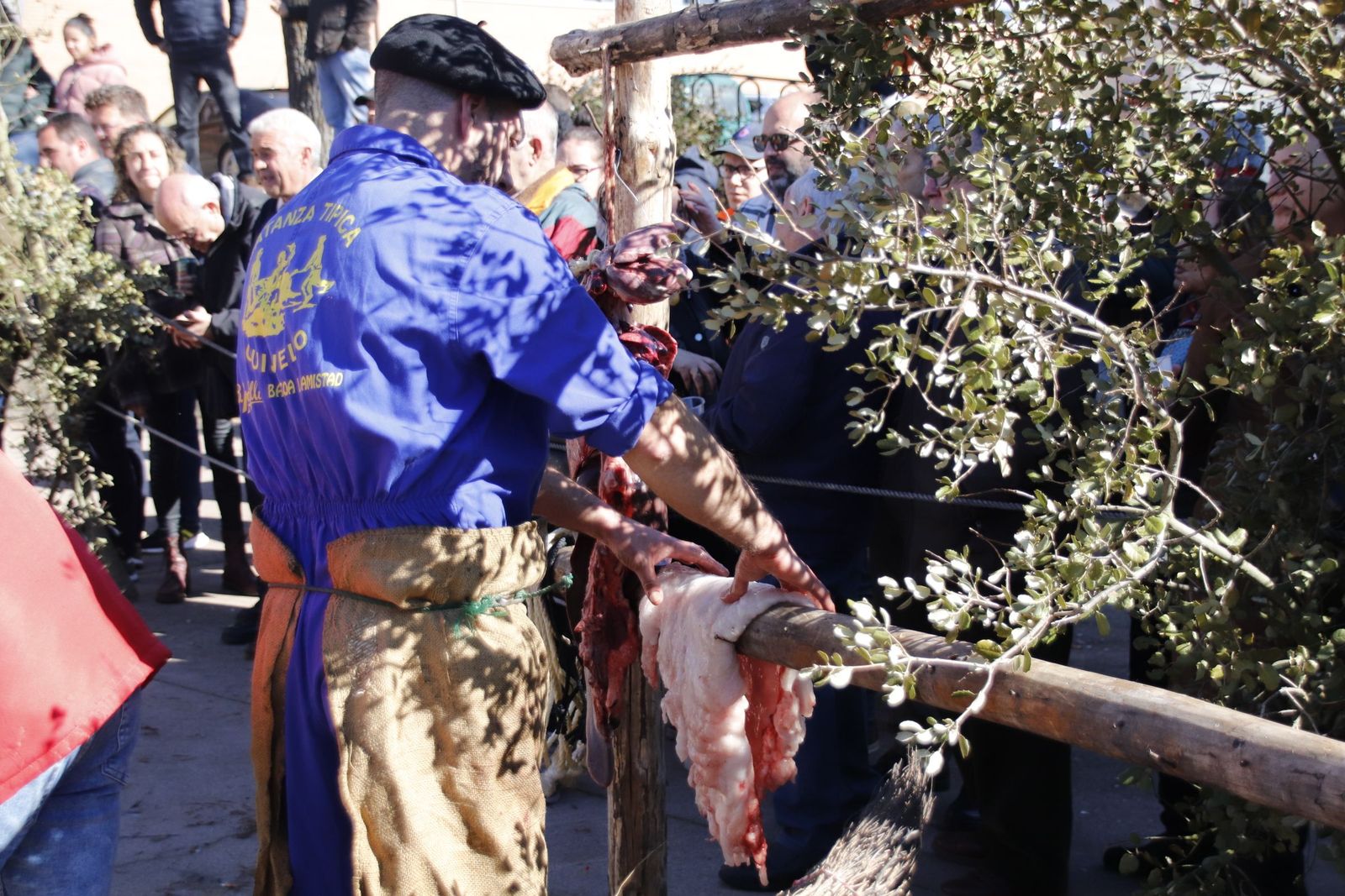 20230204132426-mg-5049