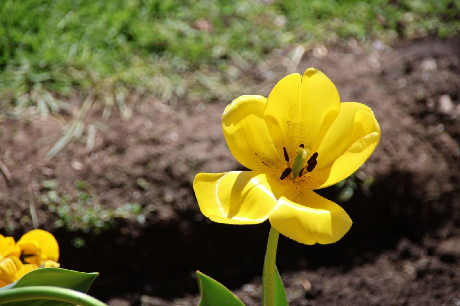 20240410121315-img-7399