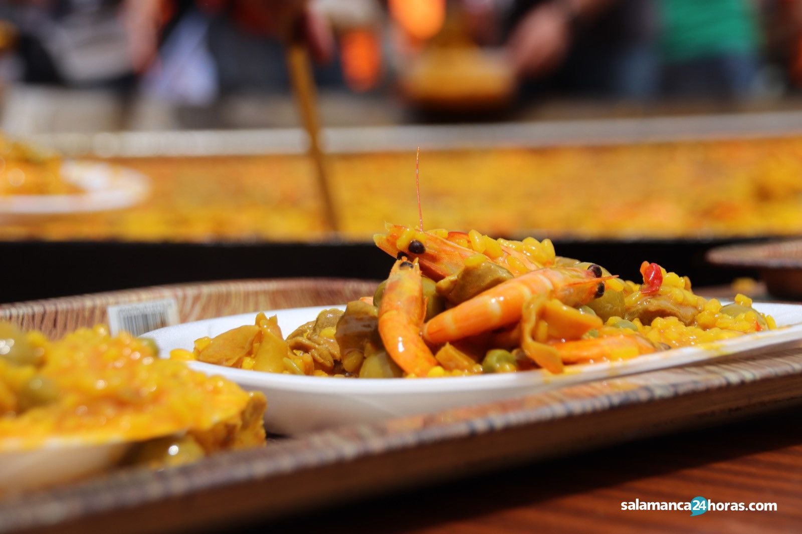 WhatsApp Image 2019 06 22 at 16.17.11 13