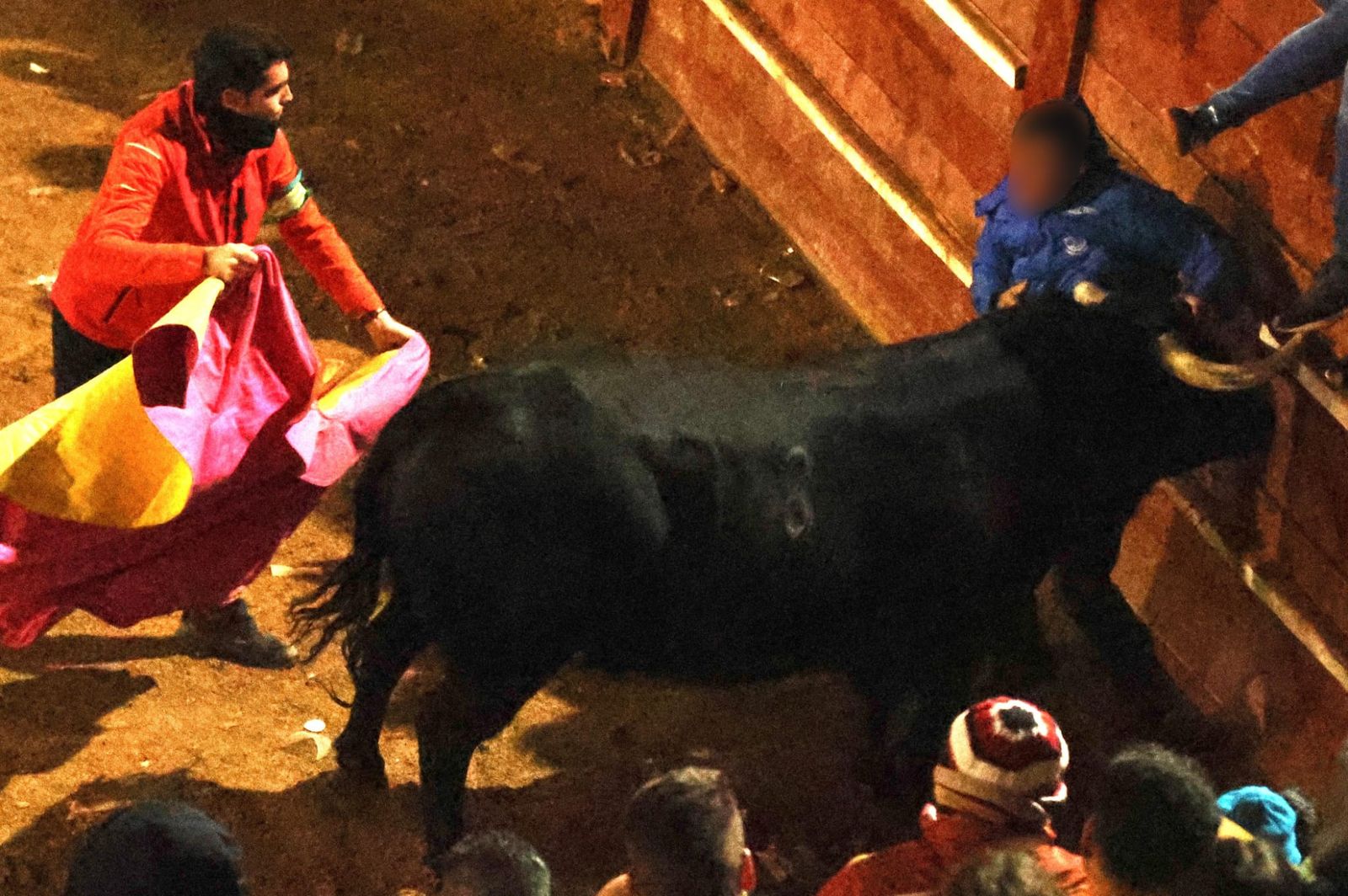 Primer corneado de la capea del viernes en Ciudad Rodrigo