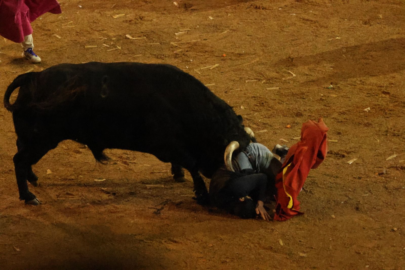 Capea Nocturna del Viernes en Ciudad Rodrigo
