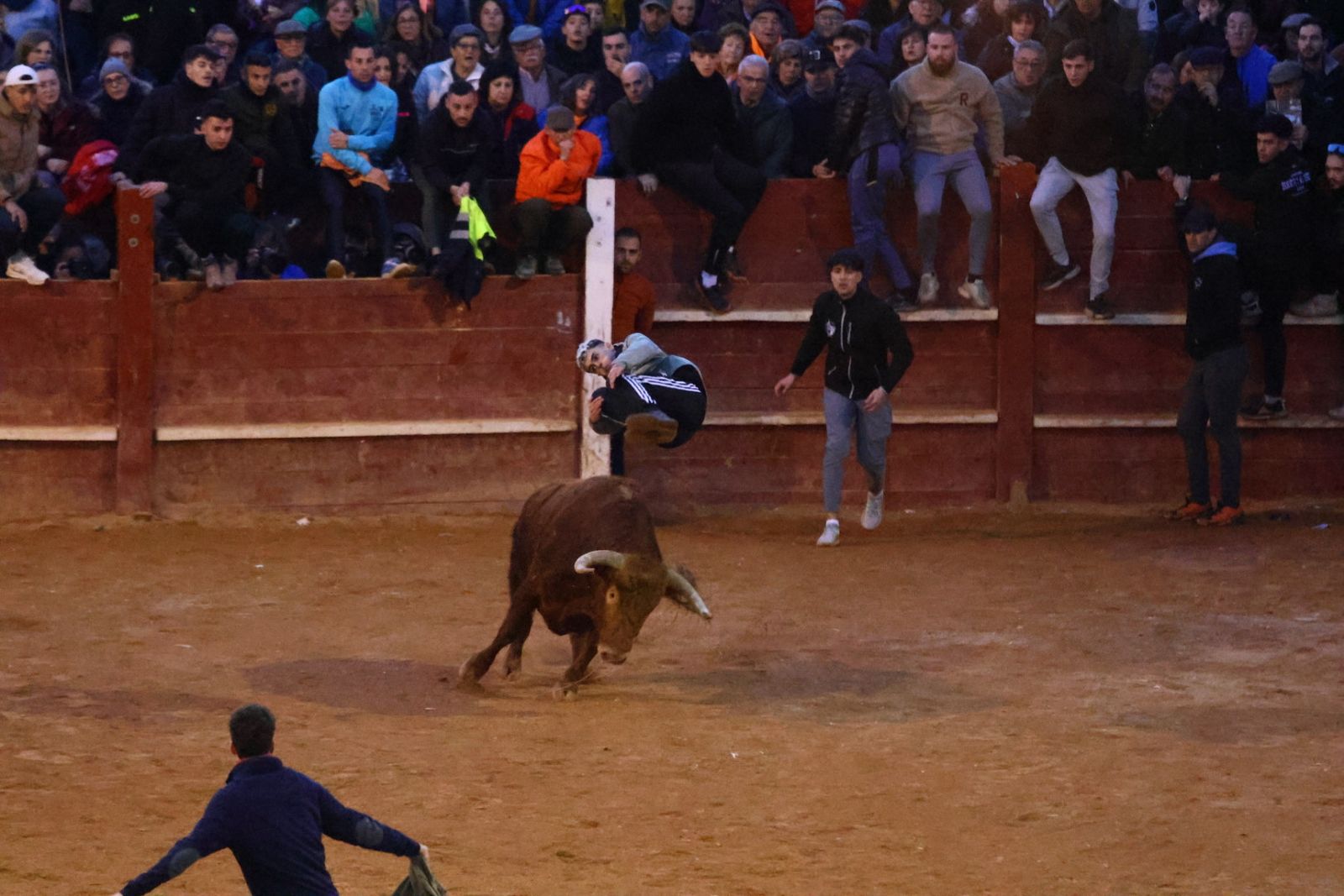 Capea de martes por la tarde en el Carnaval del Toro 2026