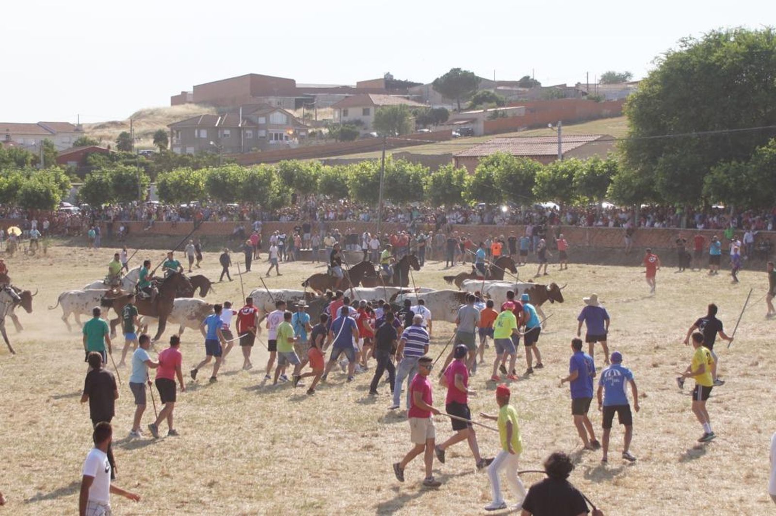 espantes-de-fuentesauco-23