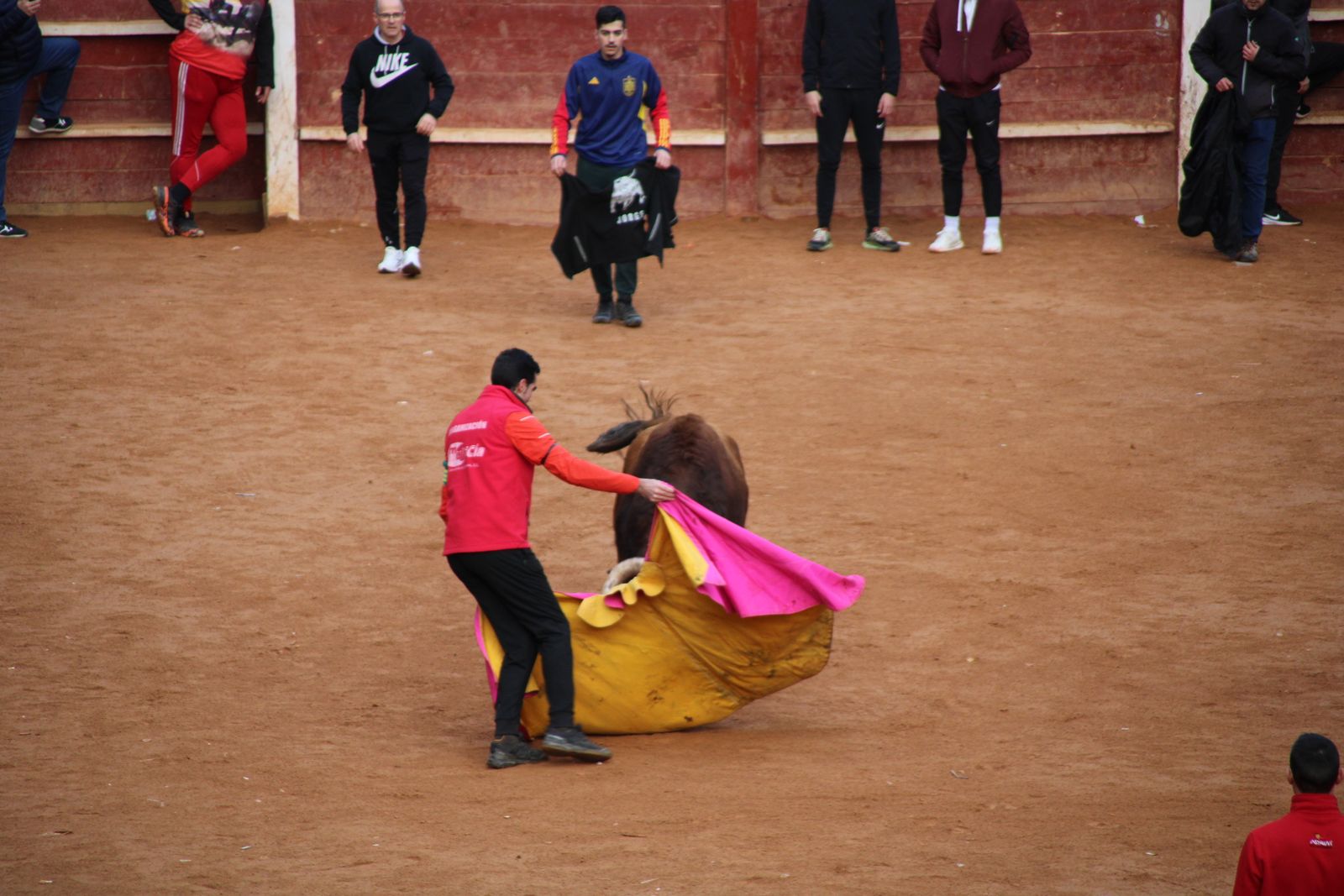 Toro del aguardiente en la mañana de martes del Carnaval del Toro 2026