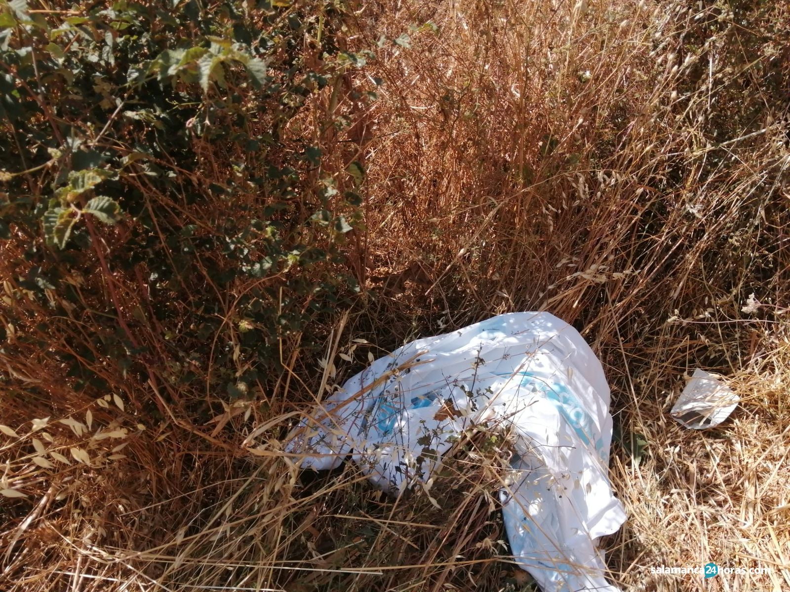 Pedrosillo El Ralo accidente  (5)