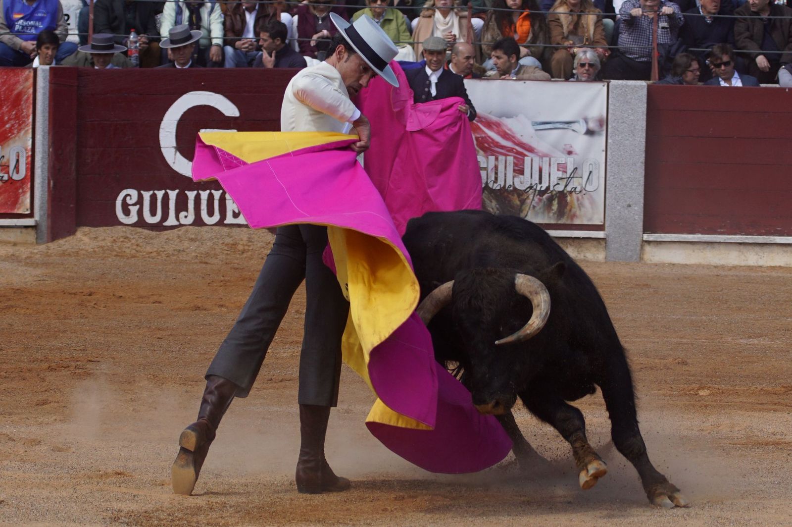 Festival taurino solidario por la esclerosis múltiple en Guijuelo