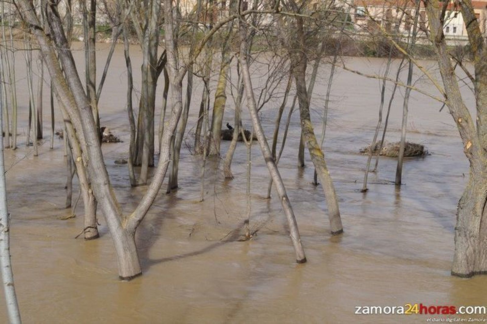La CHD centra su atención en el río Tera y sus afluentes