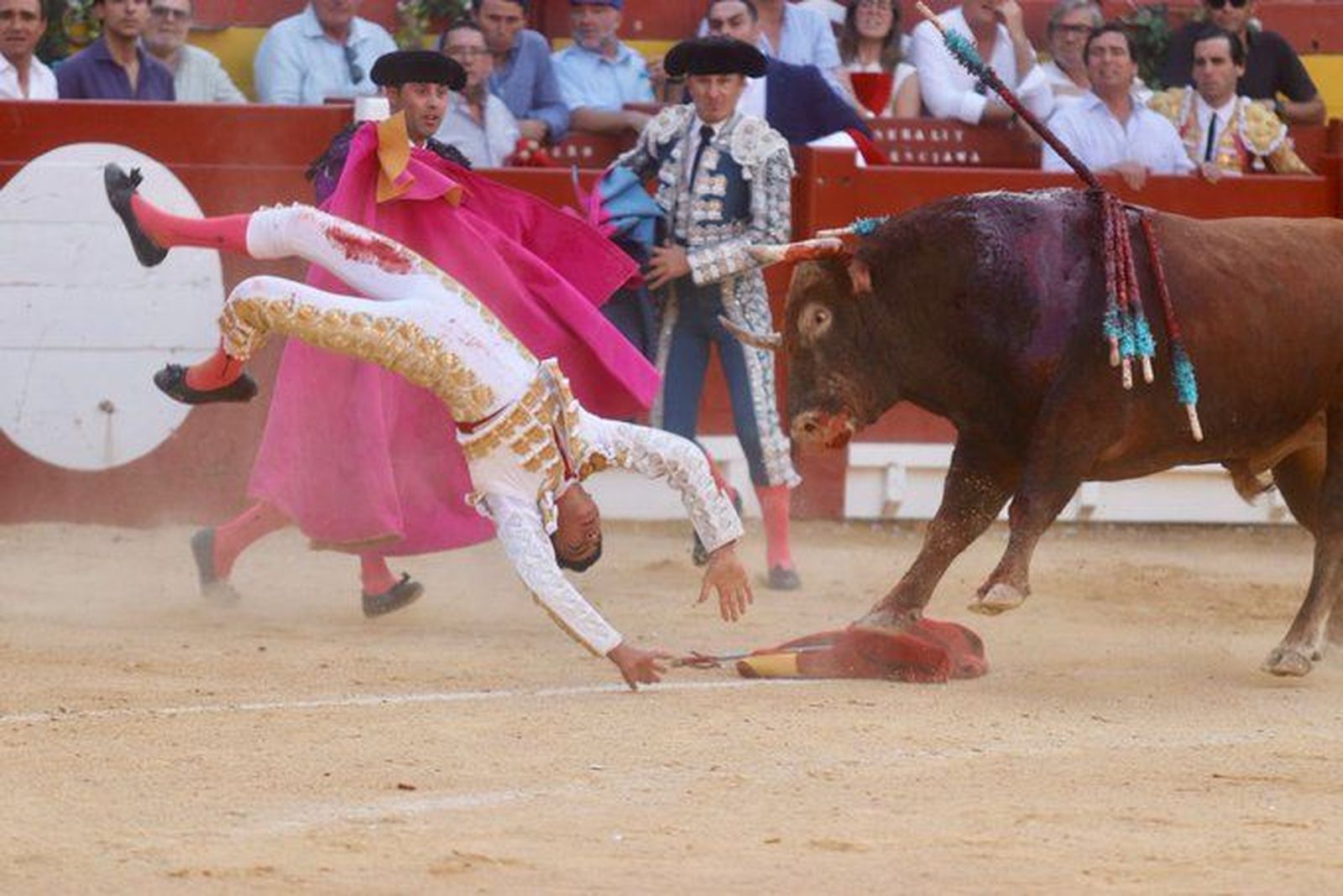 Marco Pérez, trasladado al hospital tras una cogida en su faena en Alicante. Foto: Plaza Toros Alicante