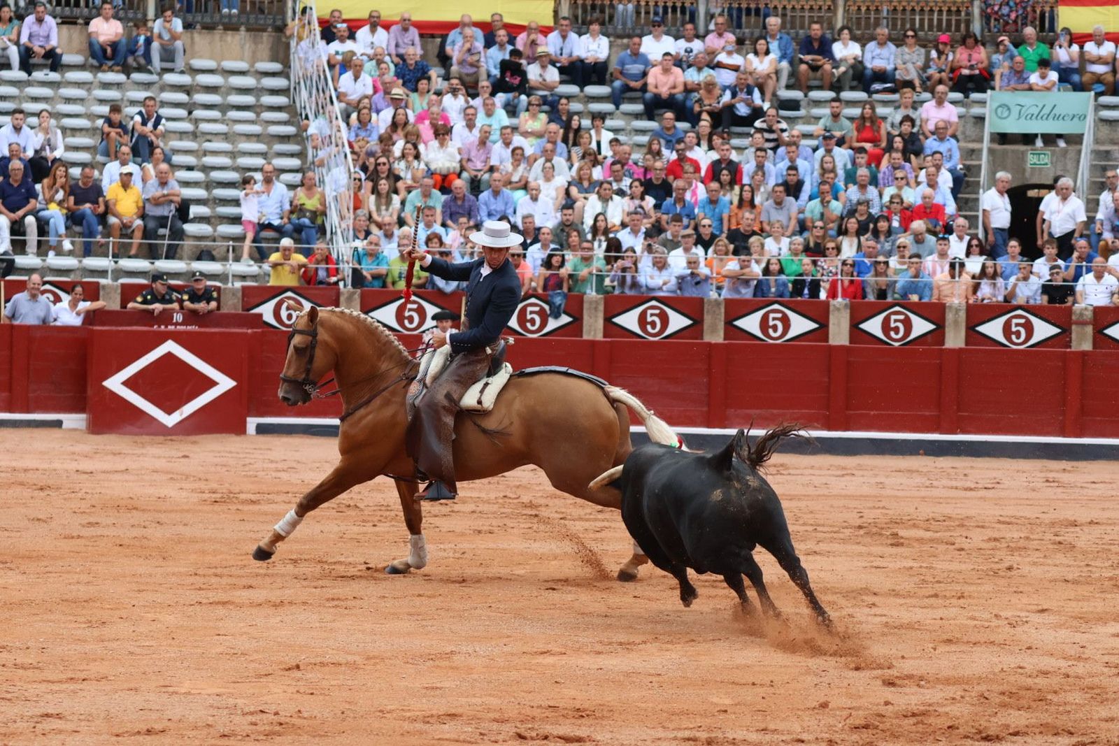 20230909173419-img-0479