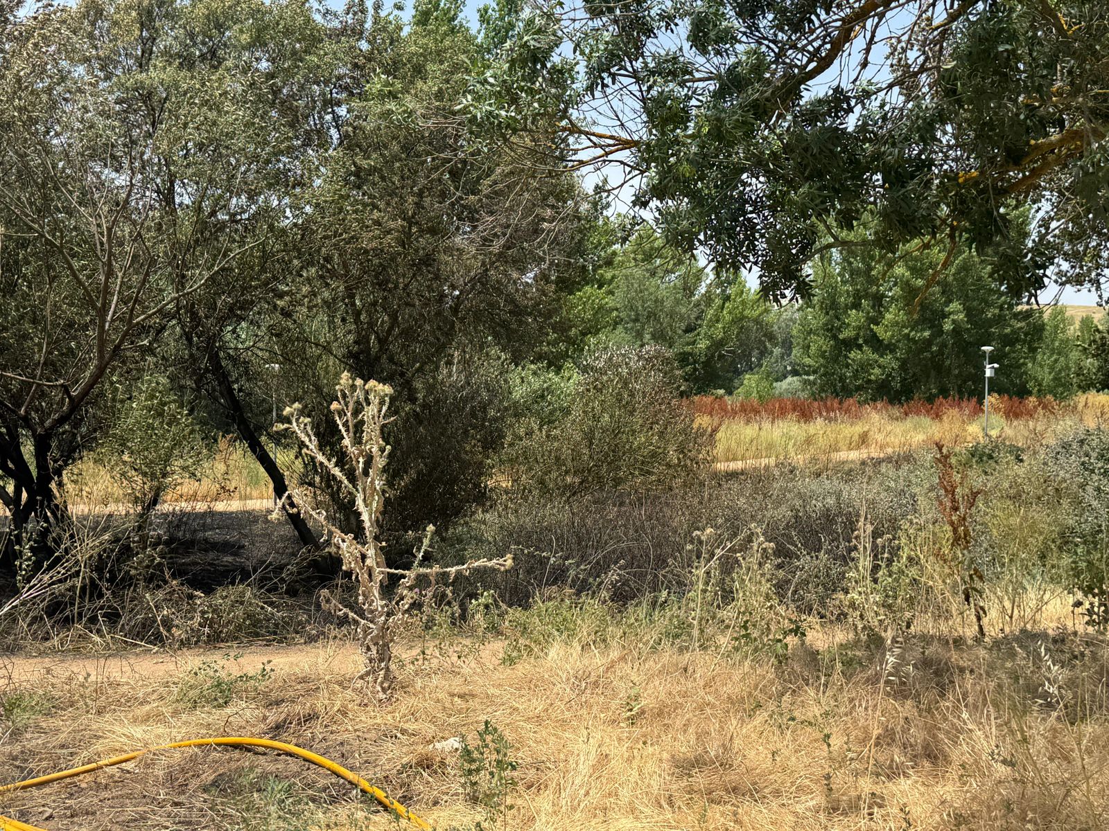 whatsapp-image-2025-06-21-at-14-48-03