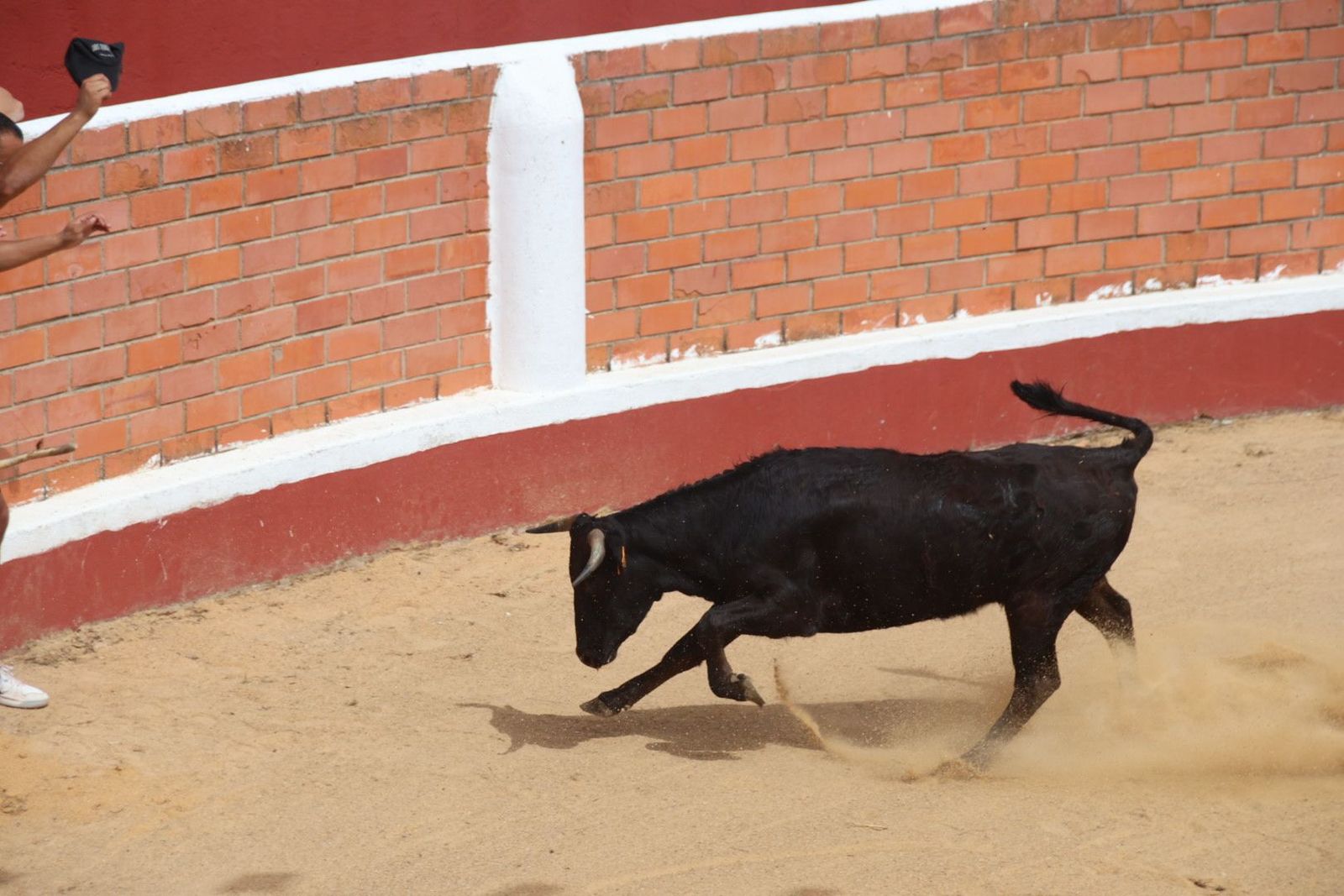 20230809115722-img-9589