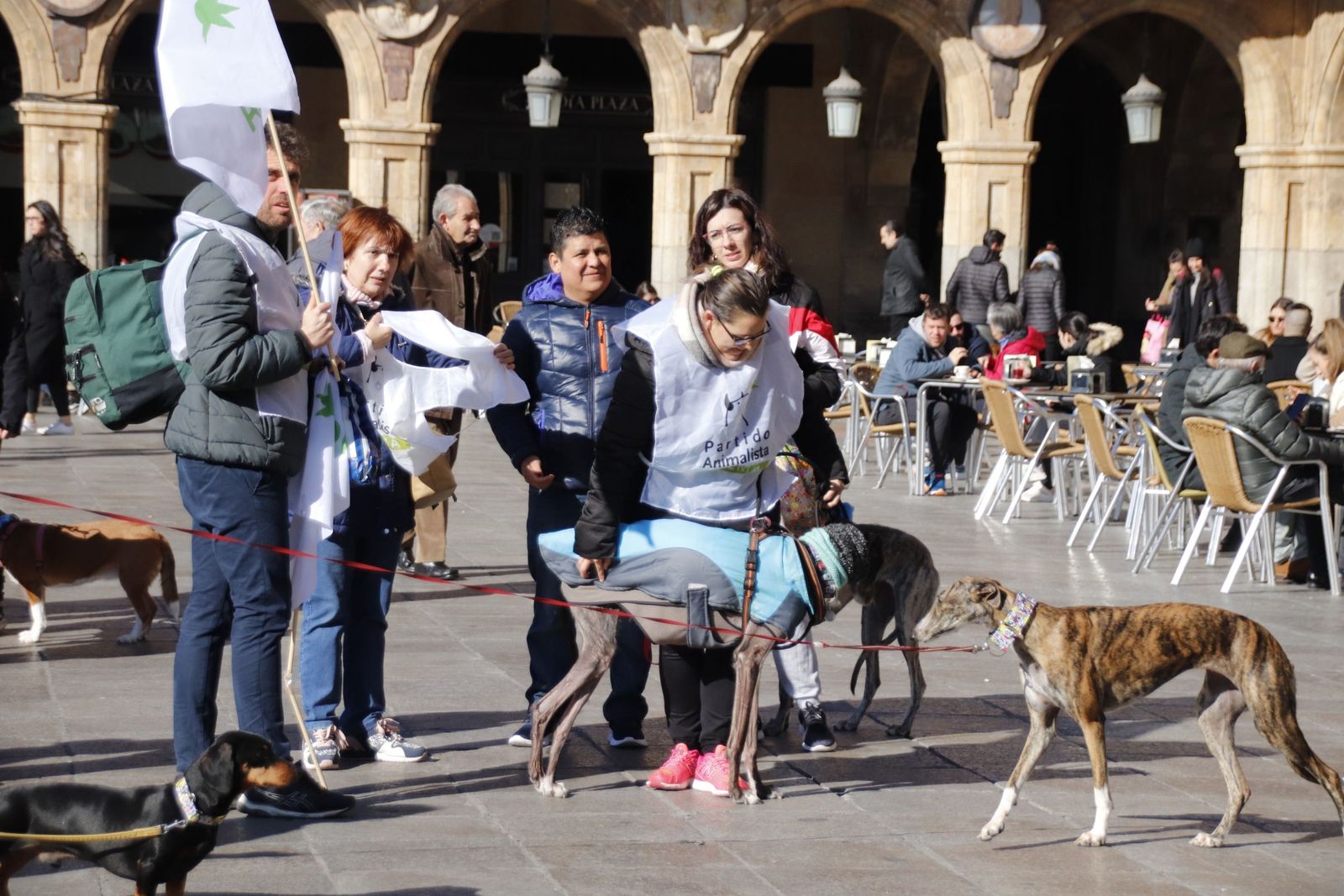 20230205121433-mg-5708